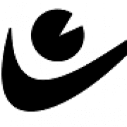 secureye logo